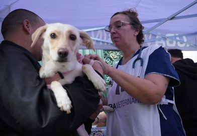 La UBA da clases públicas y servicios gratuitos para reclamar por el financiamiento universitario